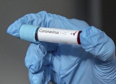 احتمال تاثیر داروی ابولا در مقابله با کروناویروس