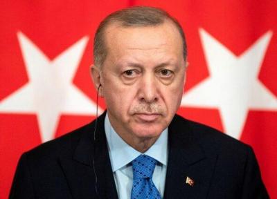 اردوغان: مسلمانان اروپایی به شکل سازمان یافته تحت تبعیض قرار دارند