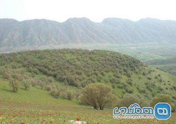 روستای قمرالی چله یکی از روستاهای دیدنی استان کرمانشاه به شمار می رود