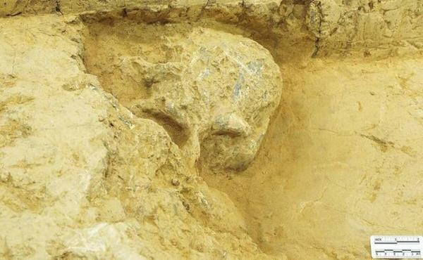 کشف جمجمه انسان یک میلیون ساله در چین