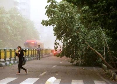 هشدار؛ وزش باد شدید در تهران؛ مراقب درختان و بنا های سست باشید
